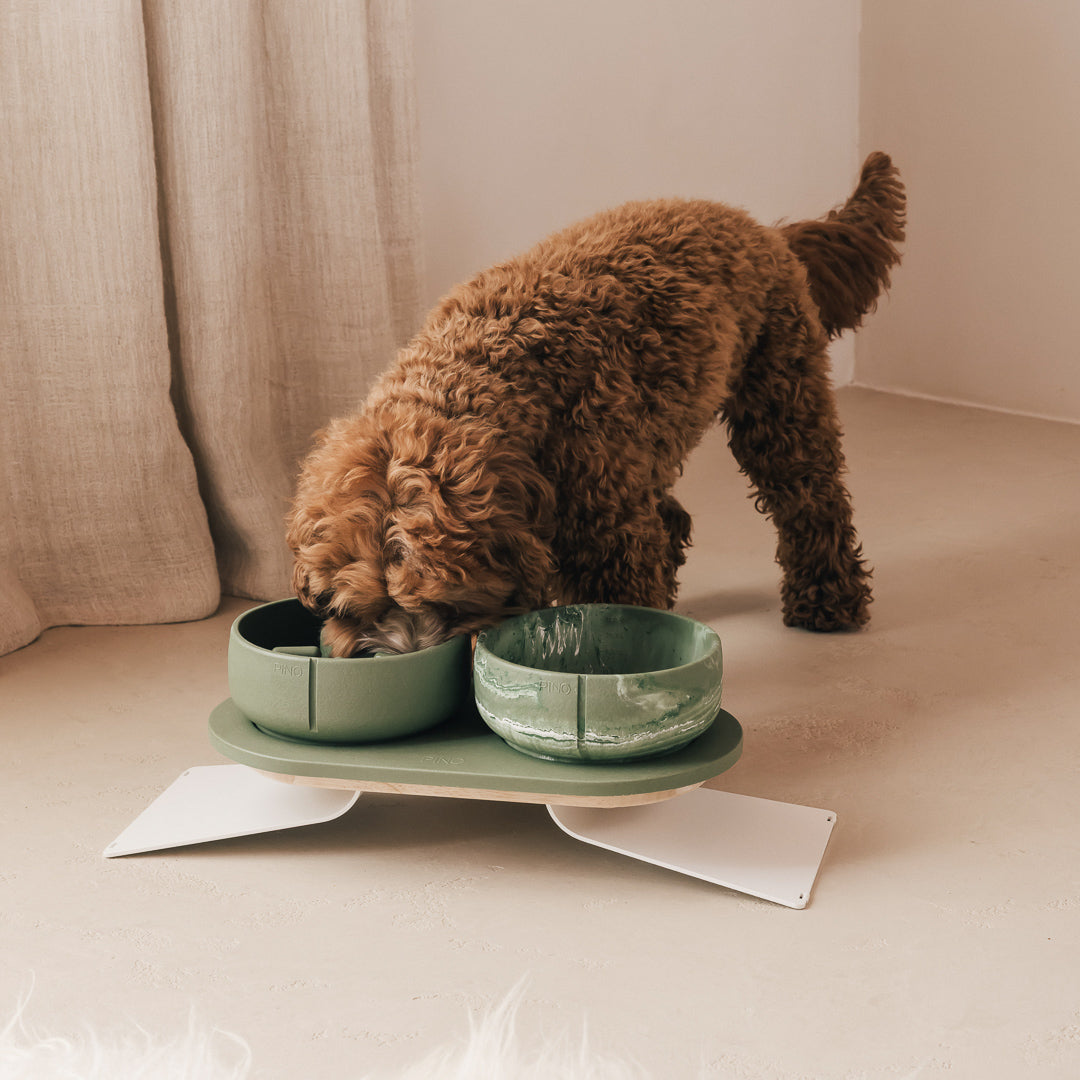 Coffret posture optimale pour chiens – vue produit 17
