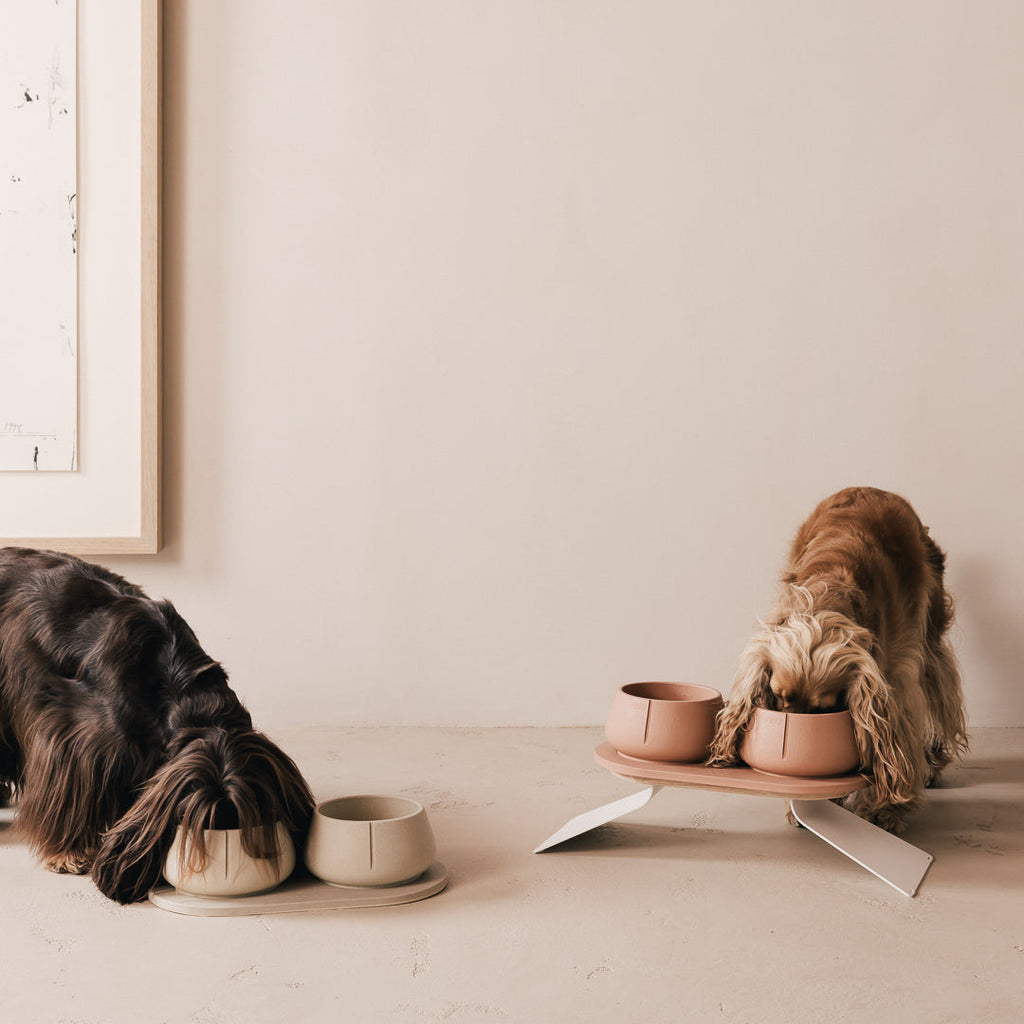 Coffret posture optimale pour chiens – vue produit 27