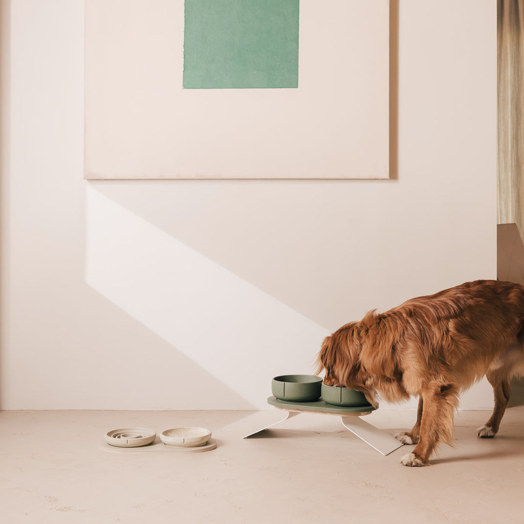 Coffret posture optimale pour chiens – vue produit 32