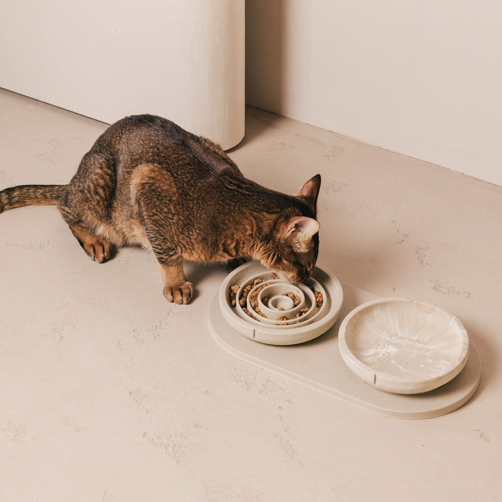 Plateau pour chats – vue produit 2