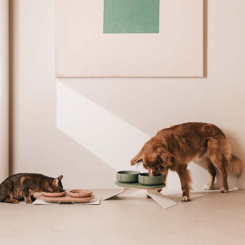Plateau pour chiens – vue produit 64