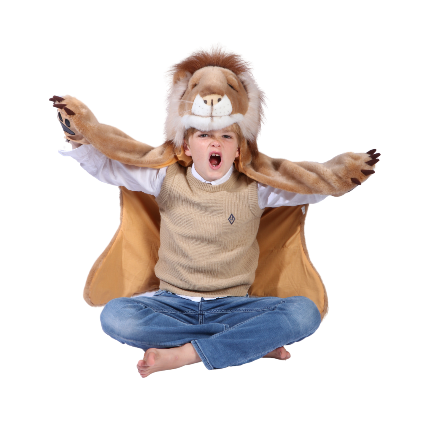 Déguisement Enfant Lion - Wild & Soft