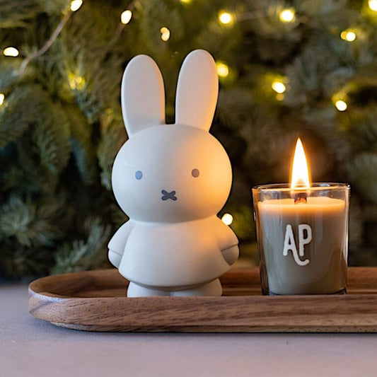 Miffy Warm Edition Piggy Bank 