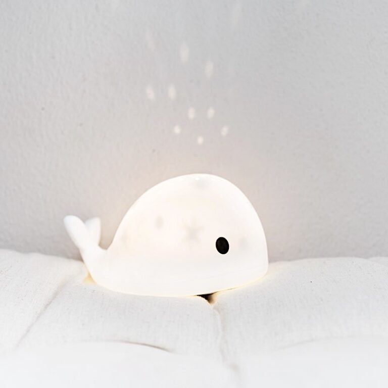 veilleuse projecteur moby rechargeable flow amsterdam 