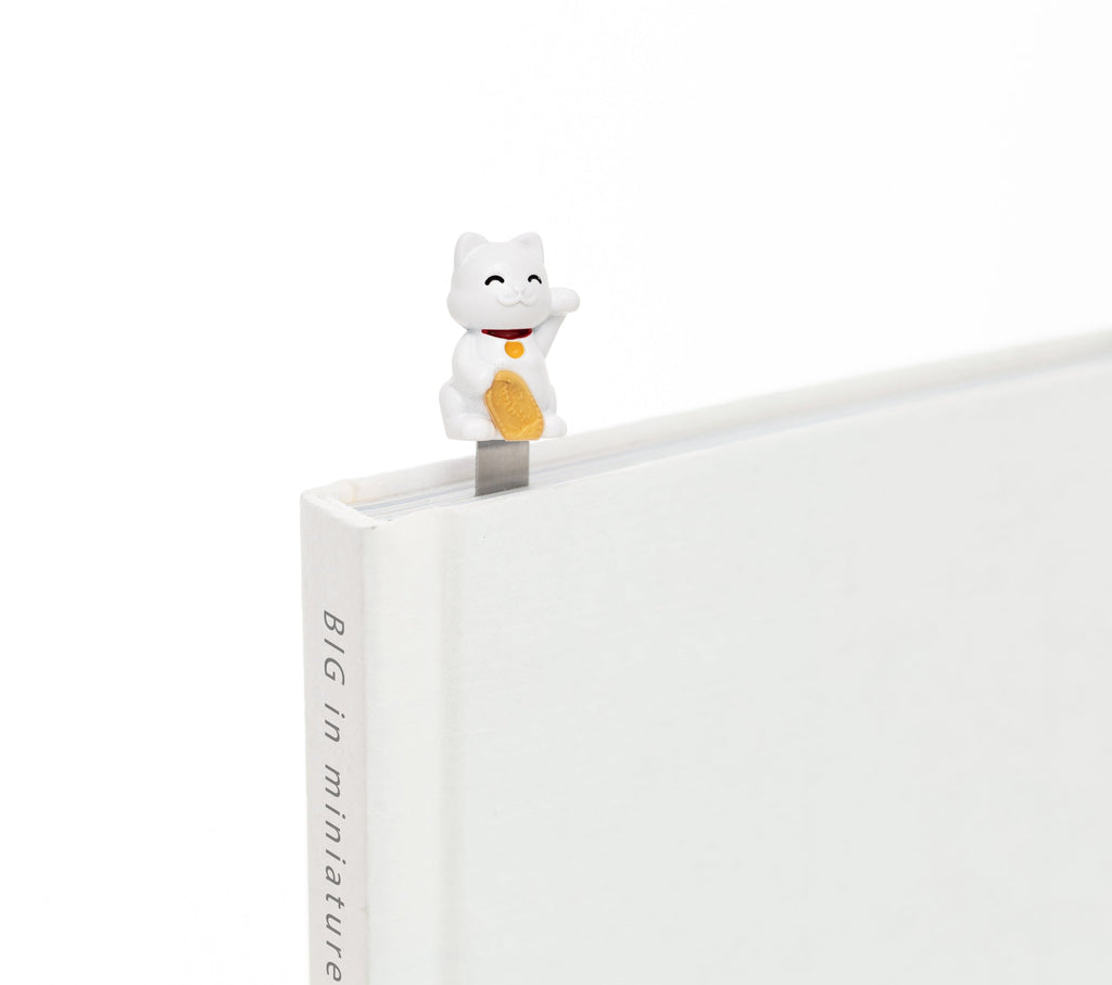 Coffret Chat Chanceux - le Chat Chanceux