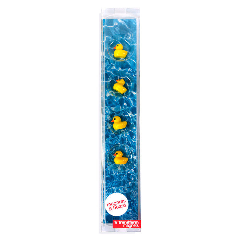 Magnets Canards et Carte – vue produit 2