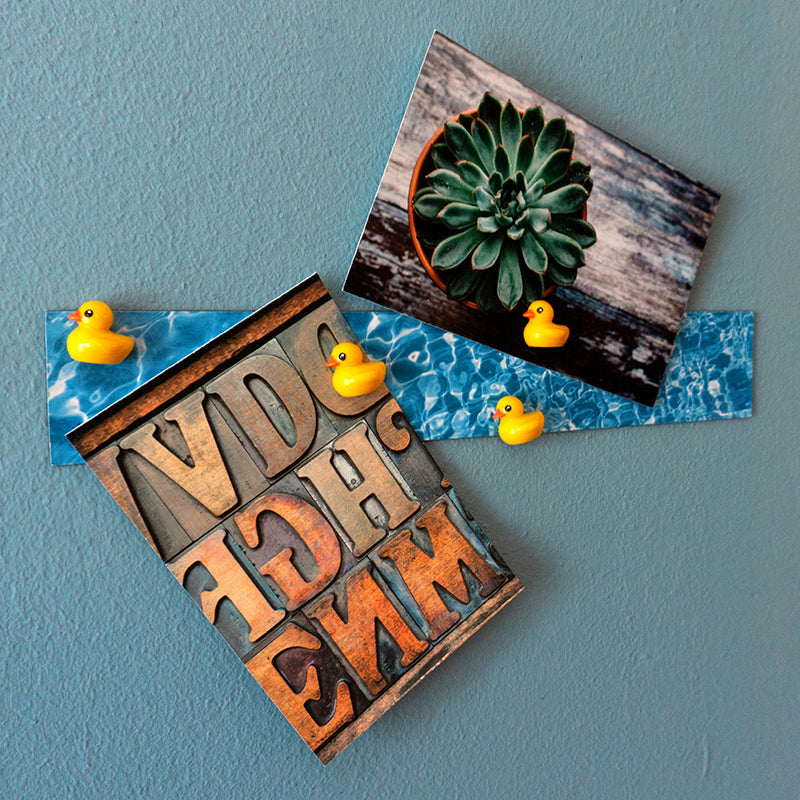 Magnets Canards et Carte – vue produit 4