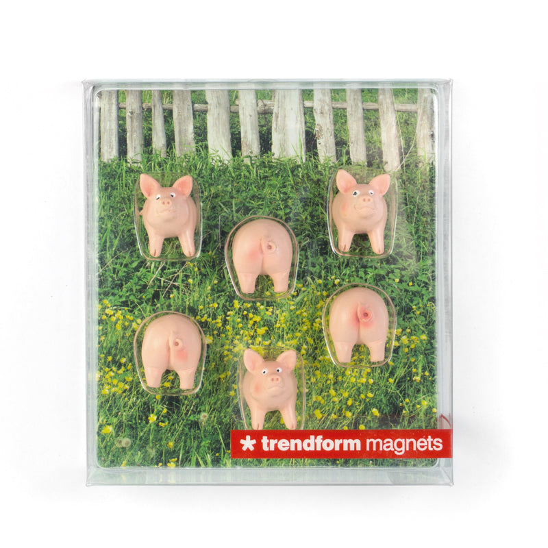 magnets cerdos trendform