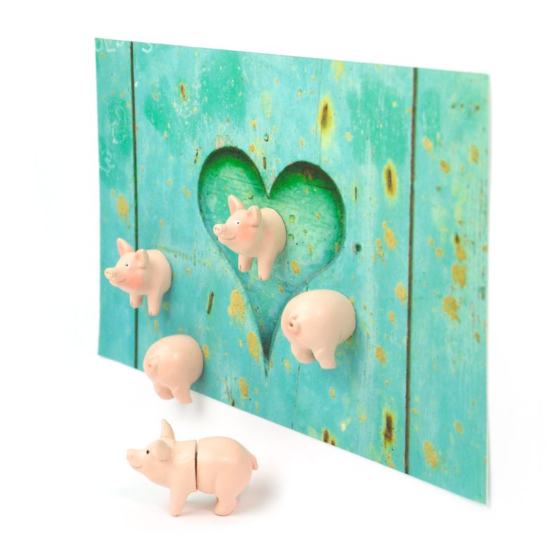 magnets cochons trendform 
