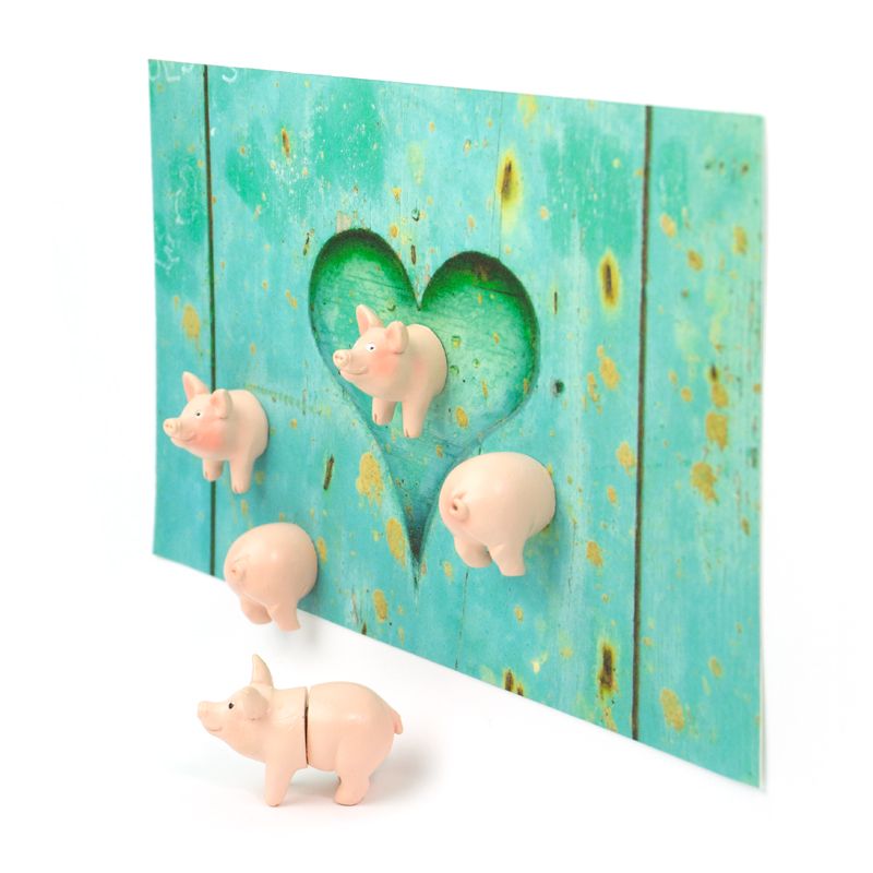 Magnets Cochons Trendform CoinCaillerie