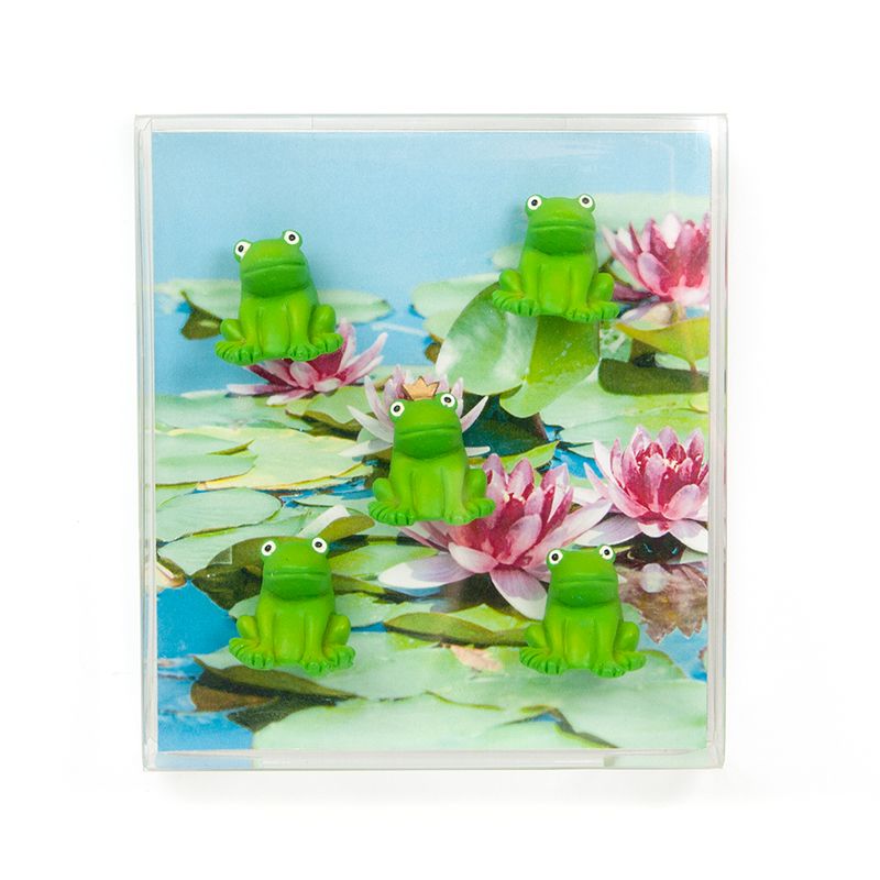 Frosch Magnete