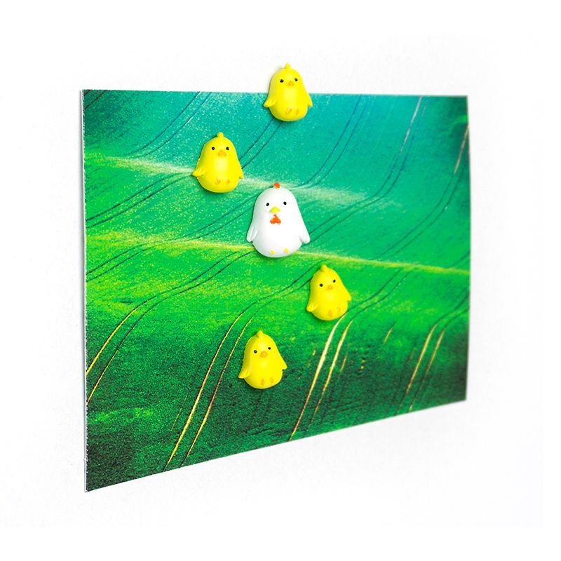 magnets poulets trendform 