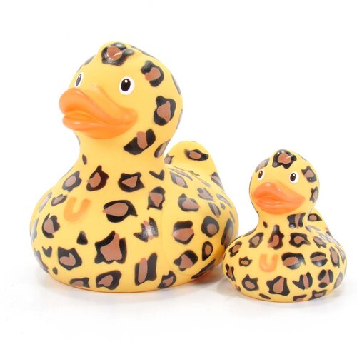 mini canard leopard bud duck 