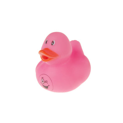 Mini Canards Emotions LG Import CoinCaillerie