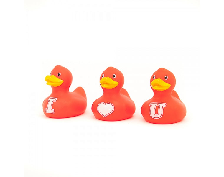 pack mini canards i love you bud duck 