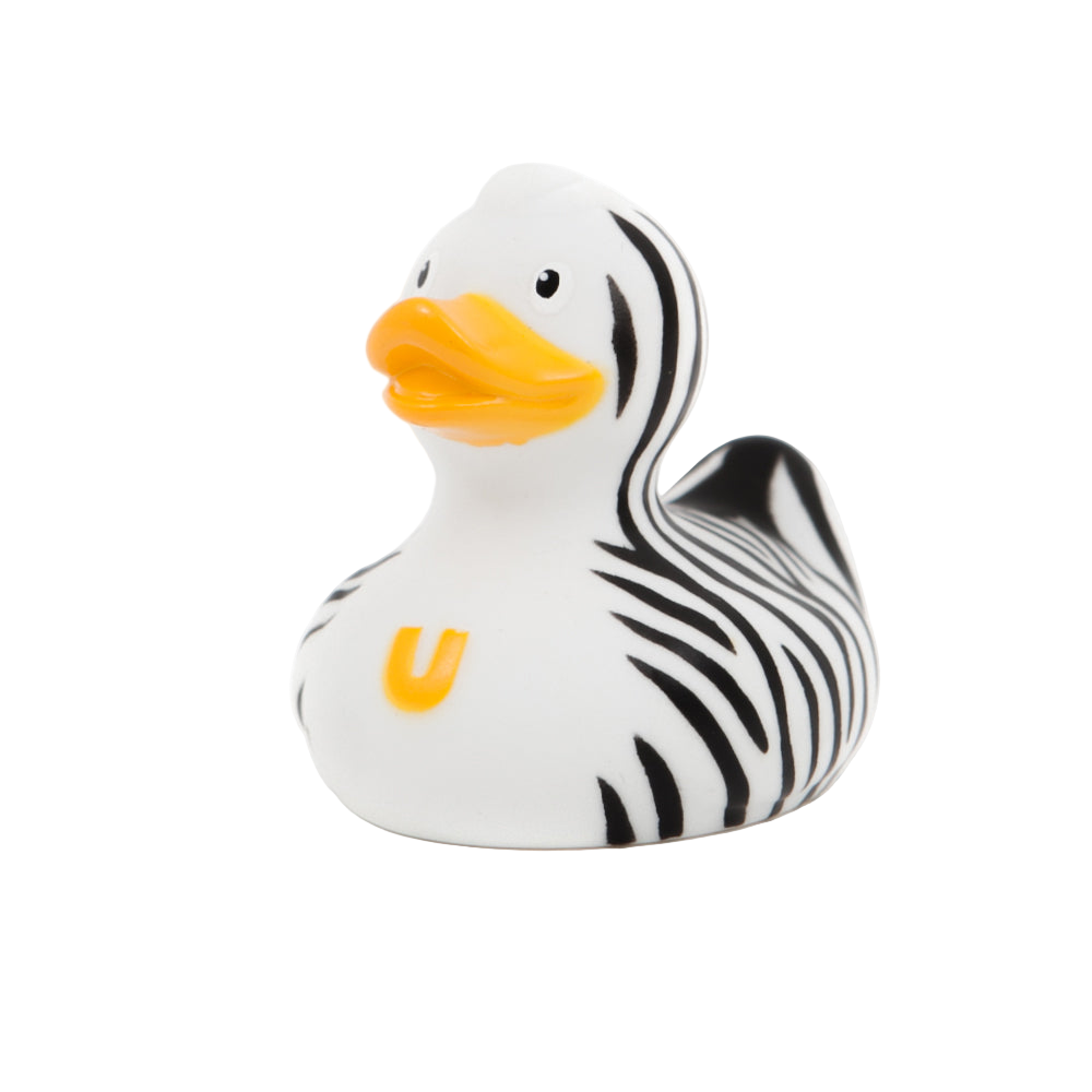 Mini pato cebra