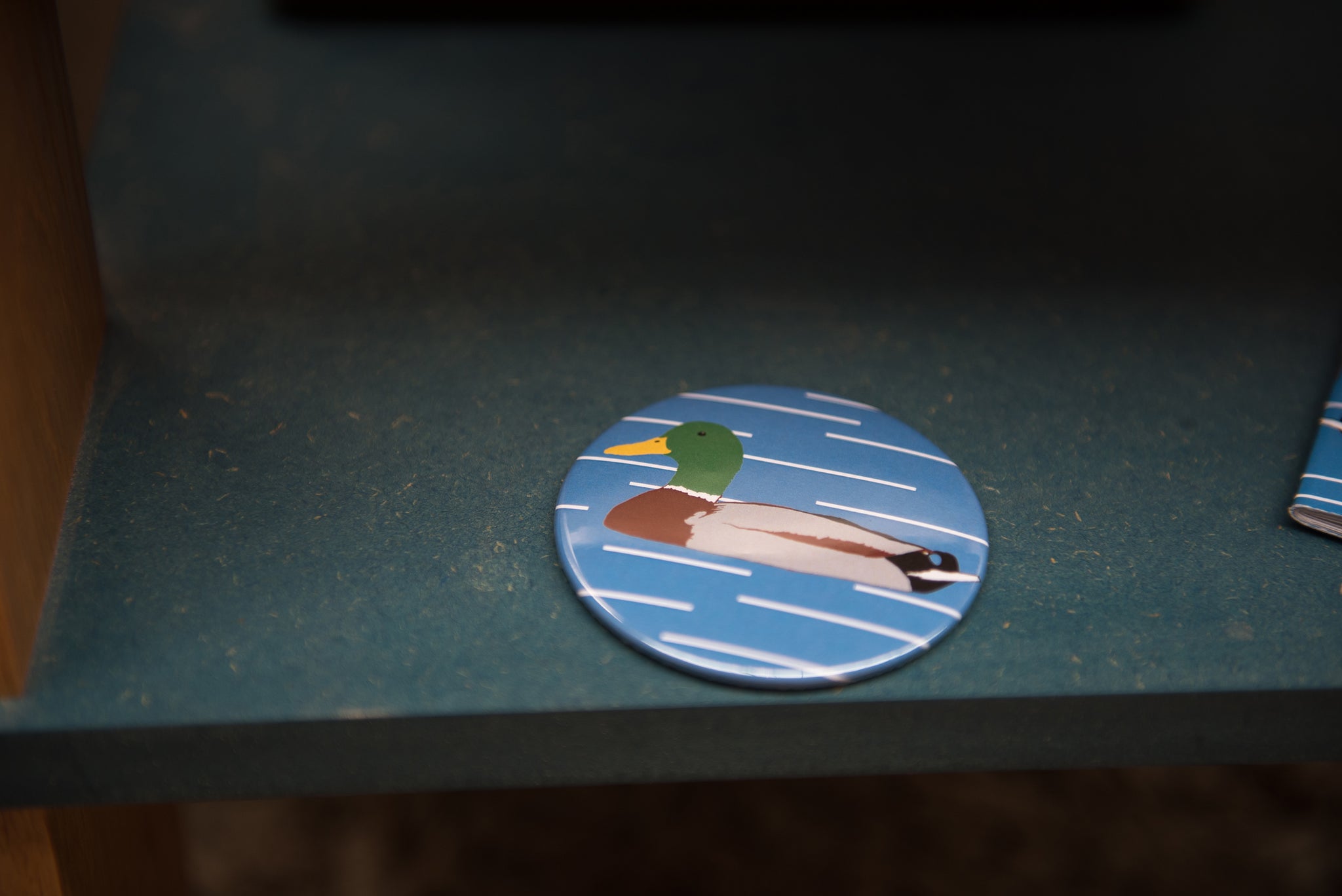 Miroir de poche Canard Colvert