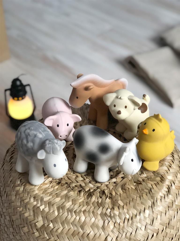 cheval de bain tikiri 