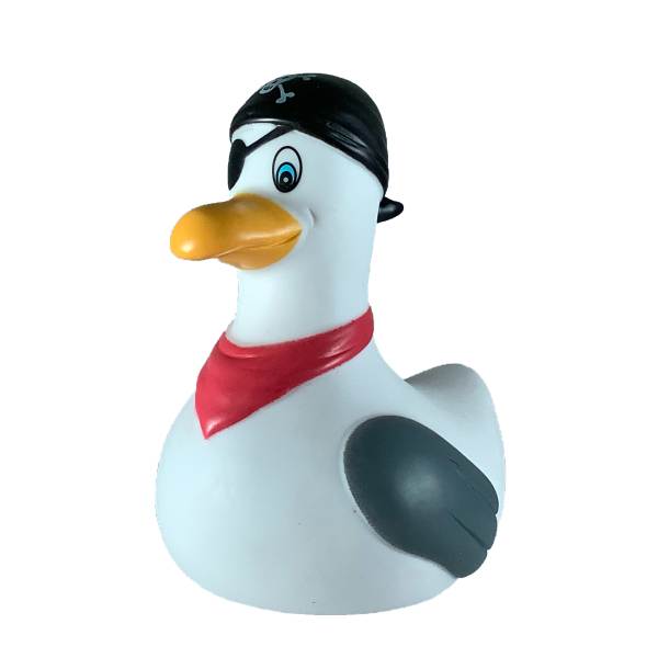 Mouette Pirate