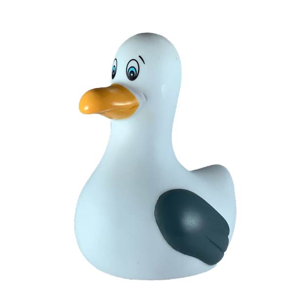 Mouette de Bain