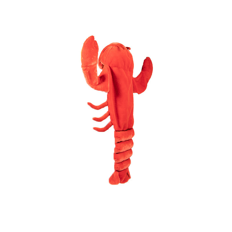 Déguisement Enfant Homard - Wild & Soft