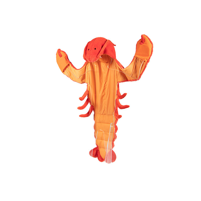 Déguisement Enfant Homard - Wild & Soft