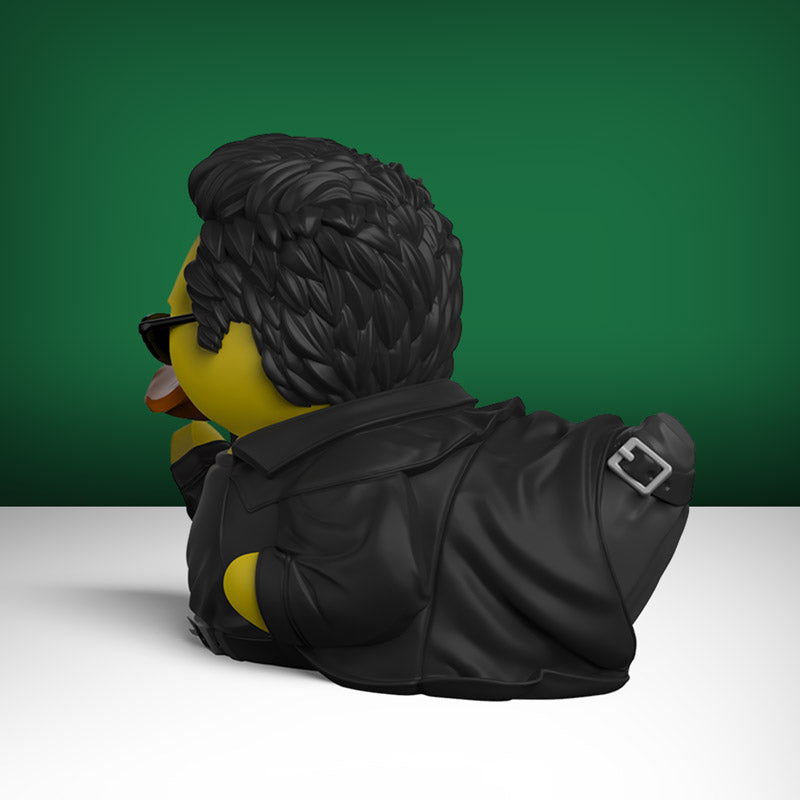 Canard Neo (First Edition) - vue 3