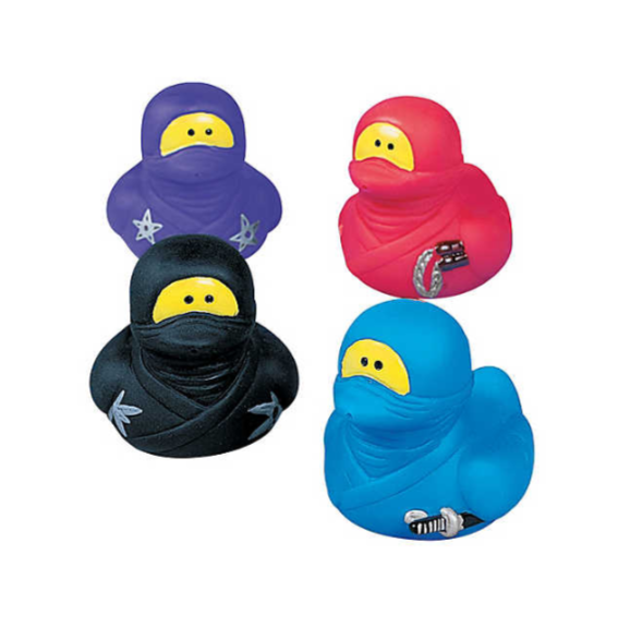 Mini Canard Ninja Fun Express CoinCaillerie