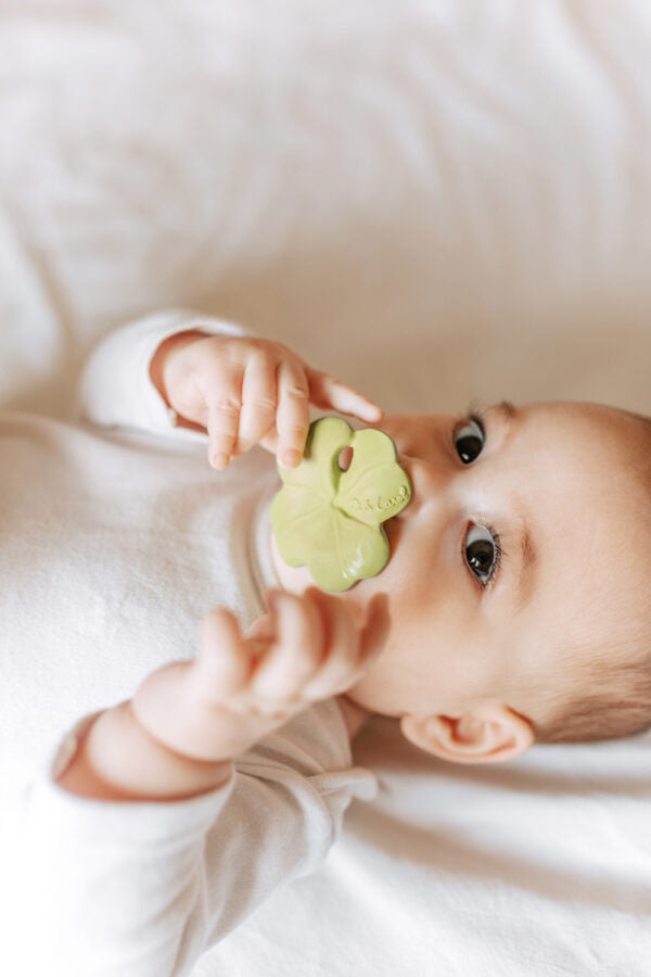 Produit Eli Le Trèfle Fan