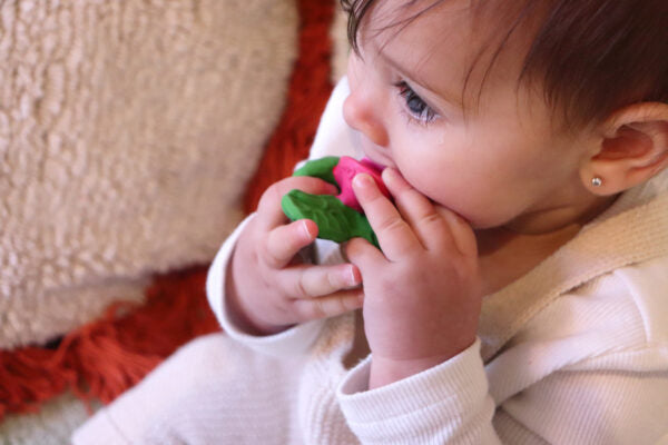 Produit Ramonita Le Radis Poster Déco