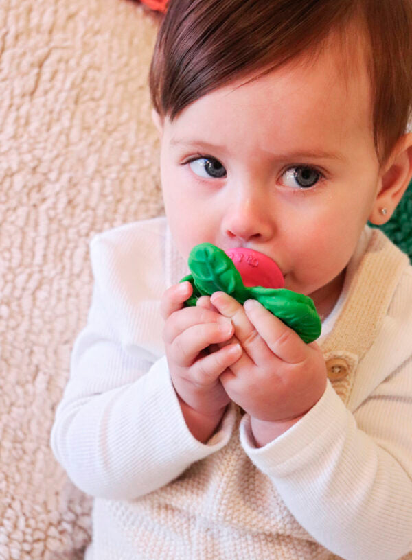 Produit Ramonita Le Radis Fan