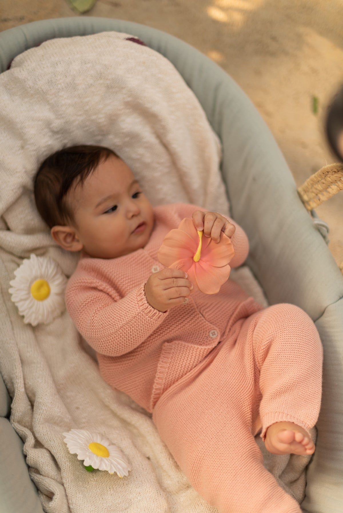 Produit Iris l'Hibiscus Fan