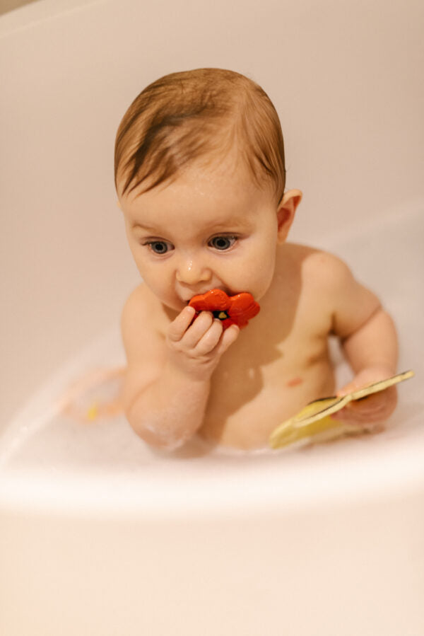 Produit Pop Le Coquelicot Kawaii