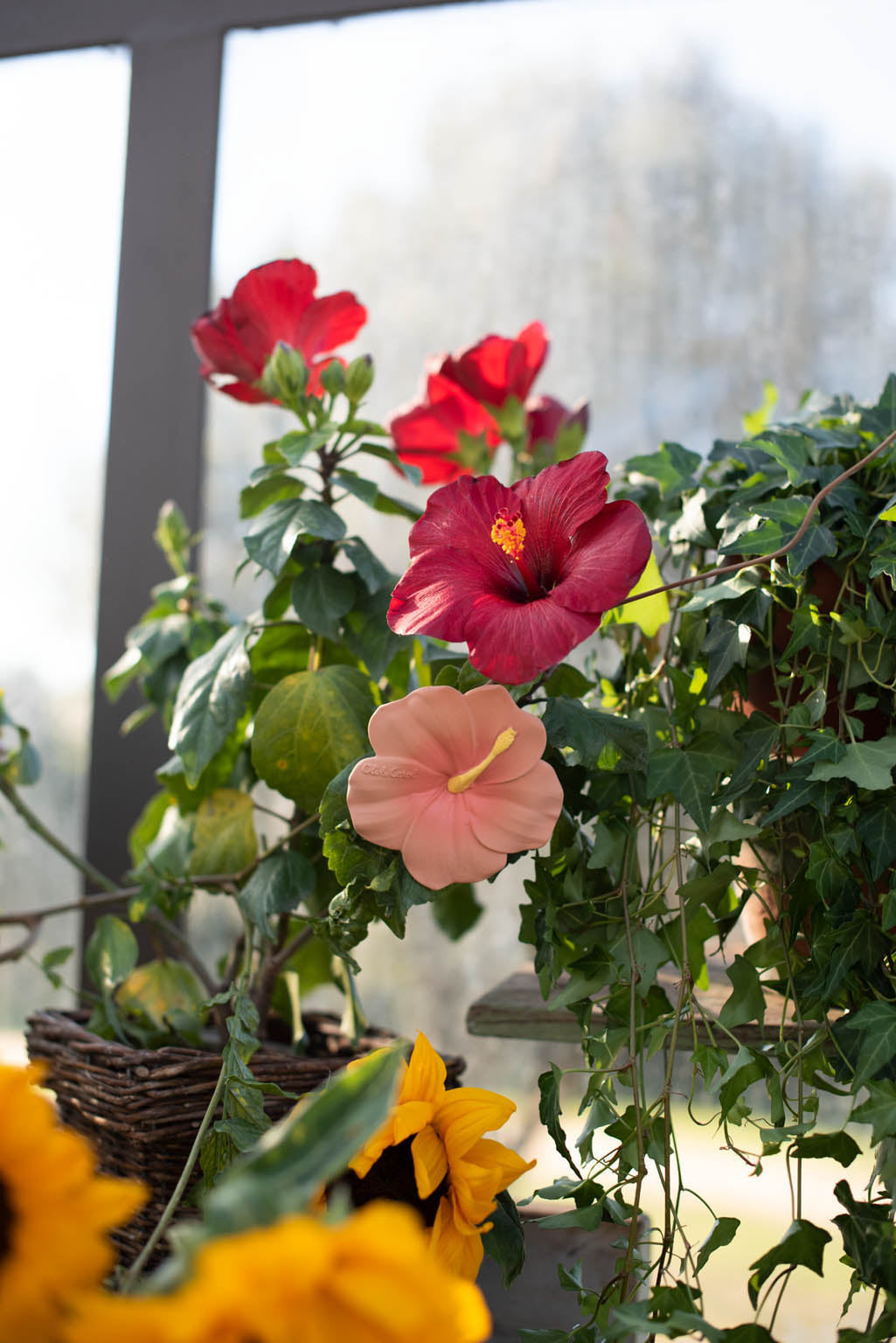 Produit Iris l'Hibiscus Déco