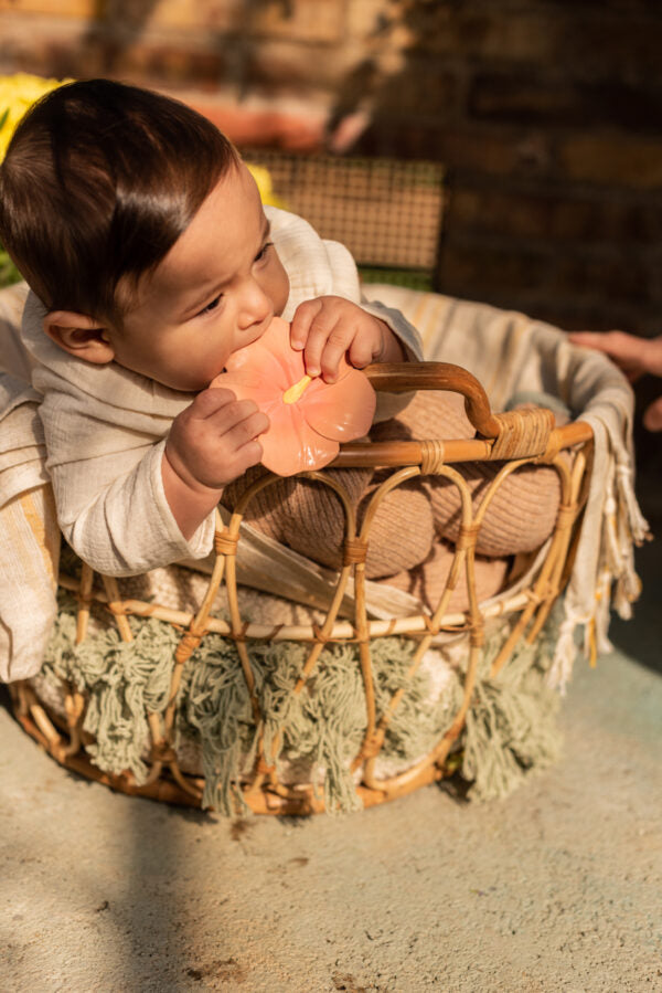 Produit Iris l'Hibiscus Kawaii