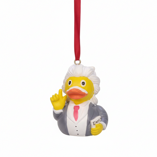 Albert Einstein Duck Hanging Decoration