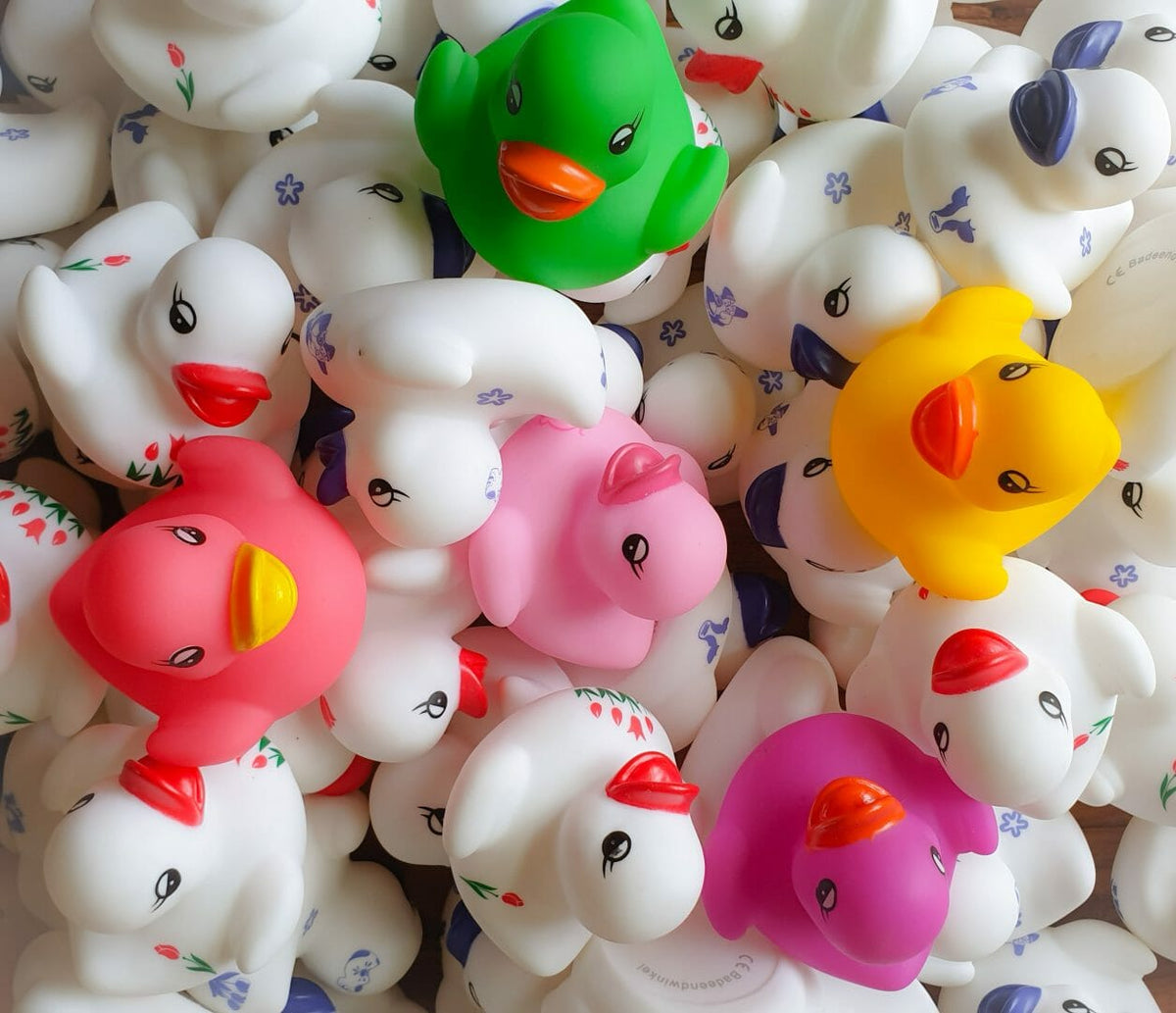 Mini-canards Dutch Ducky présentés ensemble