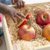 Produit Pepita La Pomme Enfant
