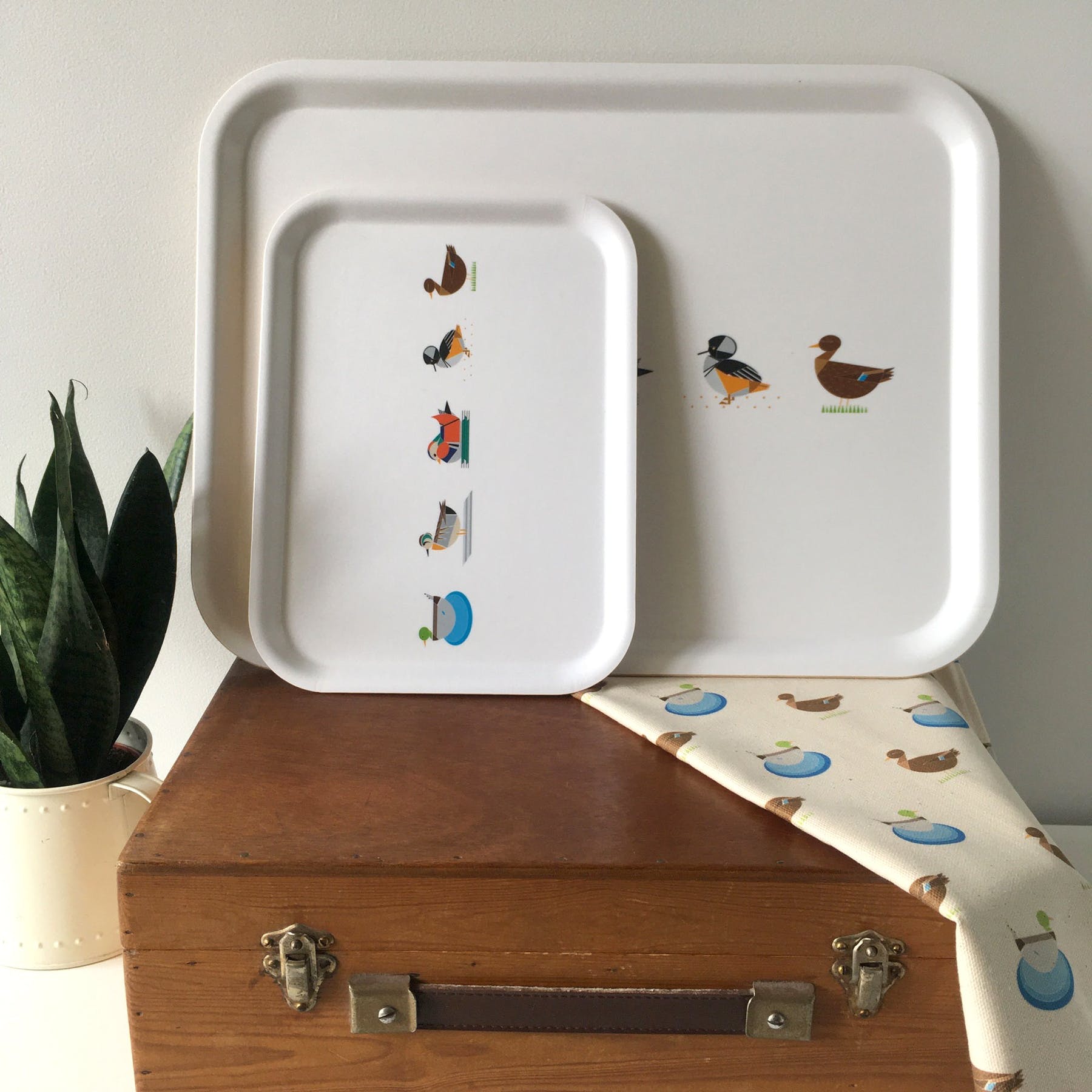 plateau 5 canards ellie good illustration SmT 9d 4 634158864056
