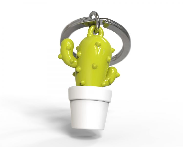 porte cles cactus vert metalmorphose 