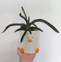 pot canard blanc richard moonstreet ceramics 29715276