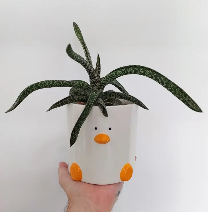pot canard blanc richard moonstreet ceramics 29715276