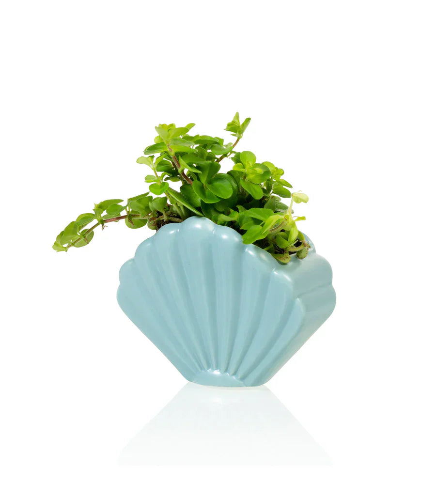 Pot de fleur Coquillage Bleu Bitten – Cache-pot original