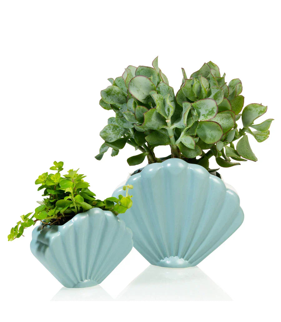 Pot de fleur Coquillage Bleu Bitten – Cache-pot original