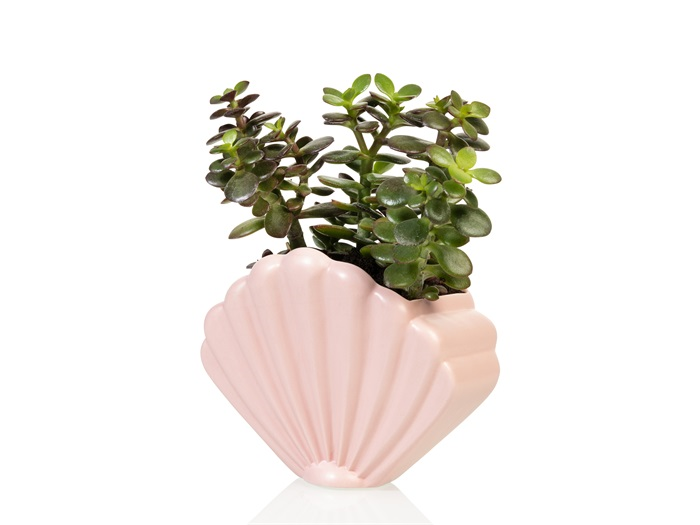 Pot de fleur Coquillage Rose Bitten – Cache-pot original