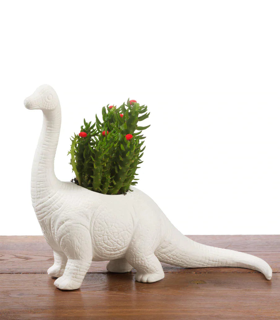 Pot de fleur Dinosaurio Plantosaurus Bitten – Cache-pot original
