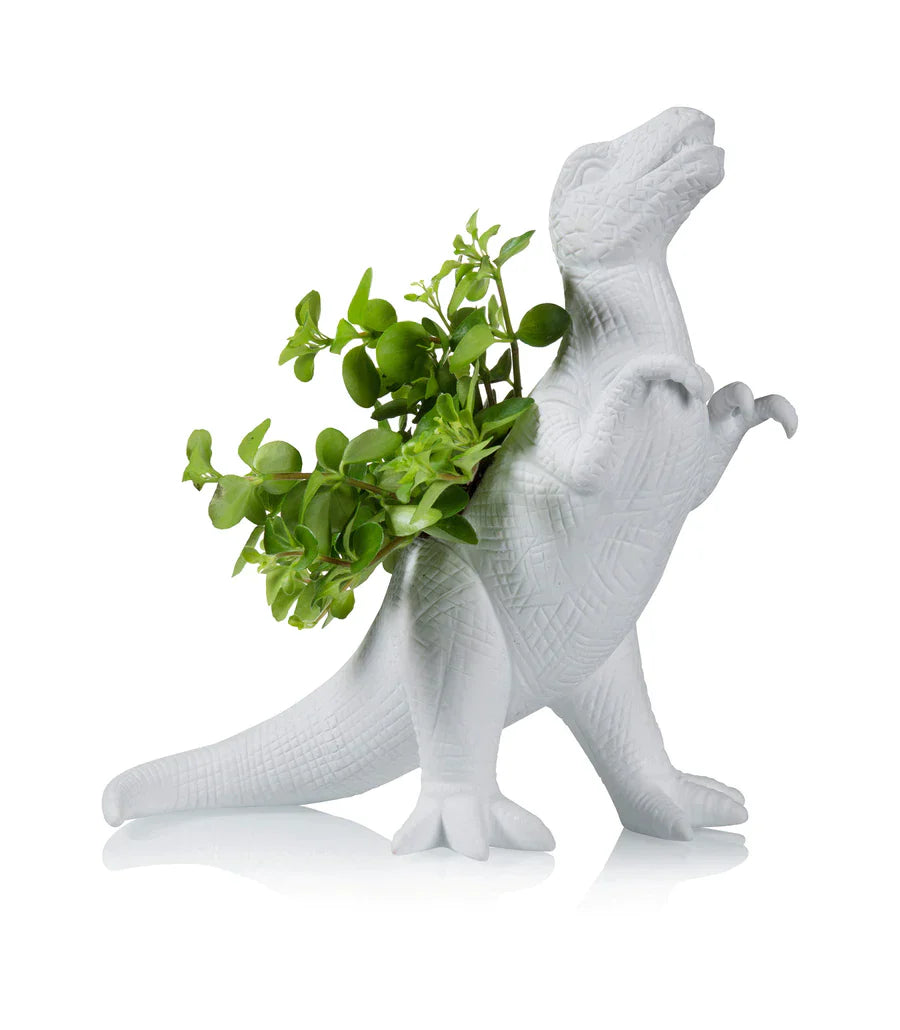 Pot de fleur Dinosaure Plantosaurus Rex Bitten – Cache-pot original