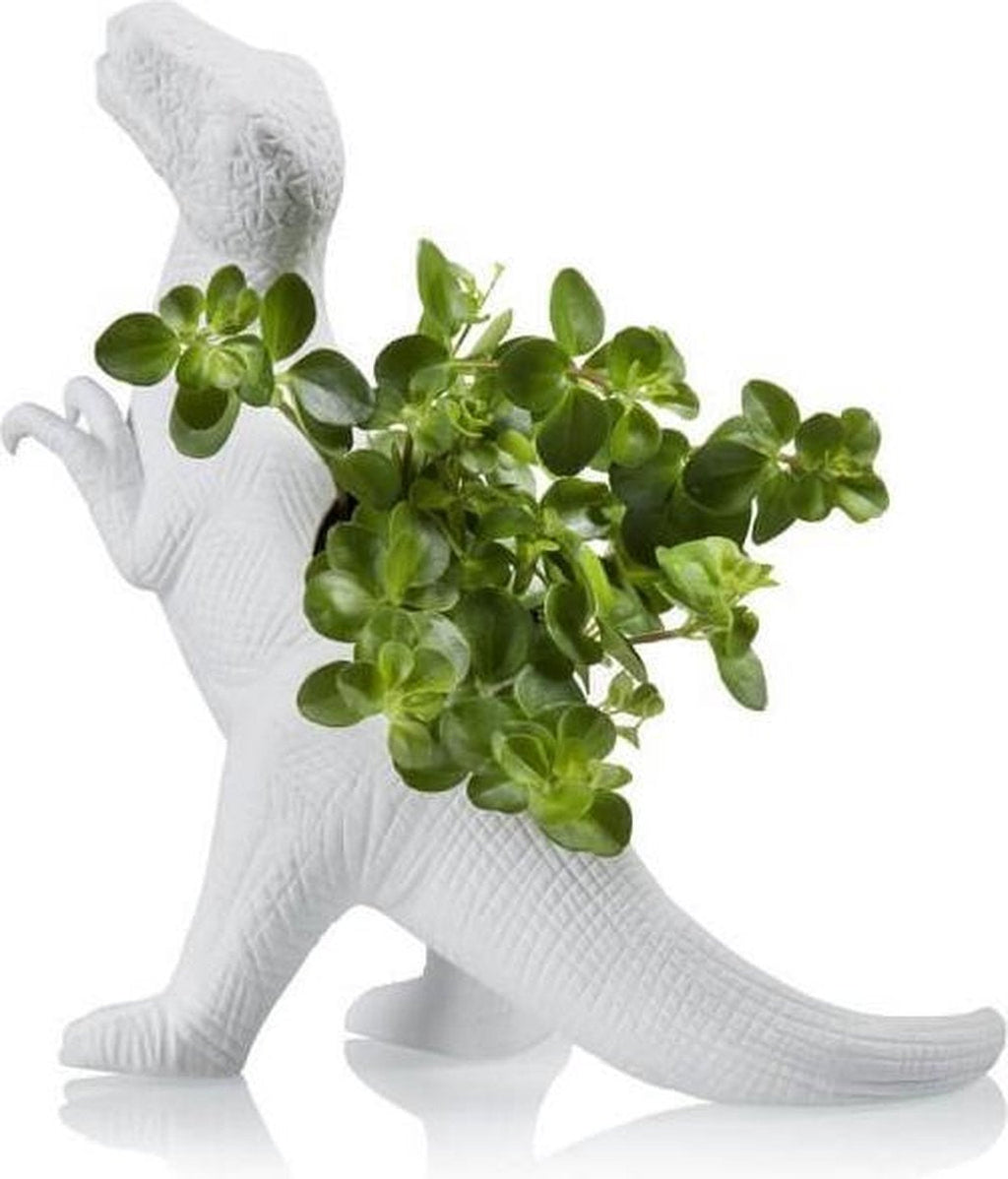 Pot de fleur Dinosaure Plantosaurus Rex Bitten – Cache-pot original