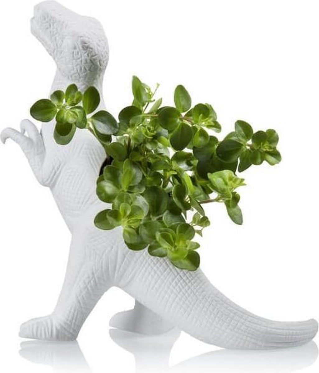 Pot de fleur Dinosaure Plantosaurus Rex Bitten – Cache-pot original