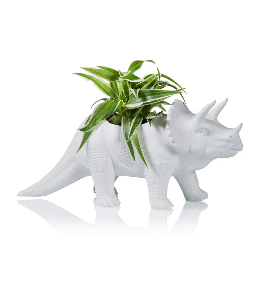 Pot de fleur Dinosaure Tricérapot Bitten – Cache-pot original